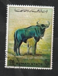 Stamps United Arab Emirates -  Ajman - Ñus