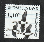 Sellos de Europa - Finlandia -  2467 - Glangula hyemalis