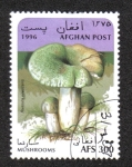 Stamps Afghanistan -  Champiñones, russula verde (Russula virescens)