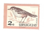 Stamps Uruguay -  Zorzal