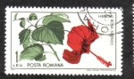 Stamps Romania -  Jardín Botánico Cluj, hibisco chino Hibiscus rosa-sinensis)