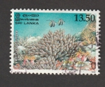 Sellos de Asia - Sri Lanka -  Coral de cabos azules