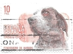 Stamps : Europe : Spain :  perros de raza española
