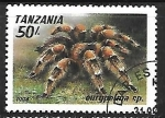 Sellos de Africa - Tanzania -  Tarantula