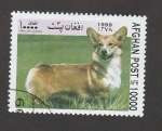 Stamps Afghanistan -  Perro galés Corgi
