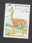 Stamps Afghanistan -  Lama vicuña