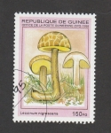 Stamps Guinea -  Leccinum nigrecens