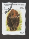 Stamps Cambodia -  Yak