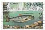 Stamps Spain -  trucha