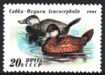 Stamps Russia -  PATOS.  OXYURA  LEUCOCEPHLA-