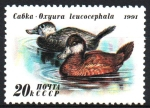 Sellos de Europa - Rusia -  PATOS.  OXYURA  LEUCOCEPHLA-