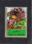 Stamps United Arab Emirates -  Insectos