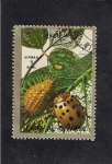 Sellos de Asia - Emiratos rabes Unidos -  Insectos