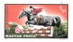 Stamps Hungary -  hípica
