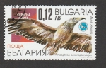 Stamps Bulgaria -  Buitre egipcio
