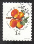 Stamps Hungary -  Exposición De Albaricoques