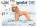 Stamps Cambodia -  Perros de raza- poodle 