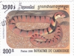 Stamps : Asia : Cambodia :  Serpiente