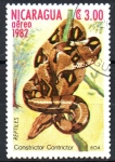 Stamps Nicaragua -   BOA  CONSTRICTOR