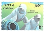 Stamps Turks and Caicos Islands -  fauna marina