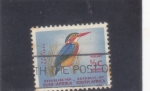 Stamps South Africa -  Pescador pigmeo africano (Ispidina picta)