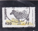 Stamps : Africa : Nigeria :  cebra
