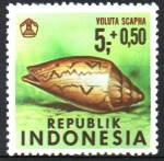 Sellos de Asia - Indonesia -  CONCHAS  MARINAS,  VOLUTA  SCAPHA.