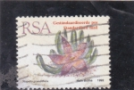 Stamps South Africa -  Stapelia grandiflora