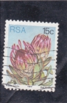 Stamps South Africa -  Protea eximia