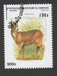 Stamps Cambodia -  Hydropotes inermis