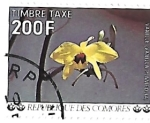 Stamps Comoros -  plantas