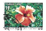 Stamps Comoros -  plantas