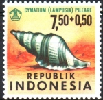 Sellos de Asia - Indonesia -  CONCHAS  MARINAS,  CYMATIUM  (LAMPUSIA)  PILEARE.