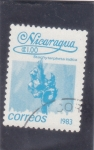 Stamps Nicaragua -  flores-