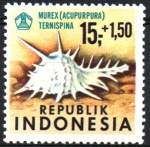 Stamps Indonesia -  CONCHAS  MARINAS,  MUREX ( ACUPURPURA )  TERNISPINA