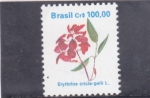 Sellos de America - Brasil -  flores- Erythrina crista-galli