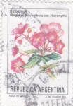 Stamps Argentina -  flores-