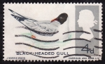 Stamps United Kingdom -  Gaviota de cabeza negra