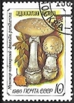 Stamps : Europe : Russia :  Setas - Amanita pantherina