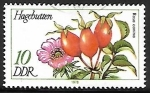 Stamps : Europe : Germany :  Flores - Rosa canina