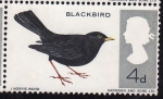 Stamps United Kingdom -  Mirlo
