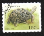Sellos de Asia - Azerbaiy�n -  Tortugas y Tortugas