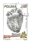 Stamps : Europe : Poland :  Animales de caza 