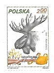 Sellos de Europa - Polonia -  Animales de caza 
