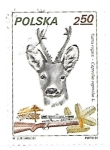 Stamps : Europe : Poland :  Animales de caza 