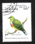 Sellos de Asia - Laos -  Aves: paloma verde de pecho anaranjado (Treron bicinctus)