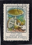 Stamps Hungary -  Hongos