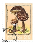 Stamps Poland -  Setas