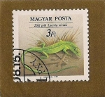 Stamps Hungary -  Reptil