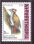 Sellos de Africa - Etiopa -  Pajaro carpintero